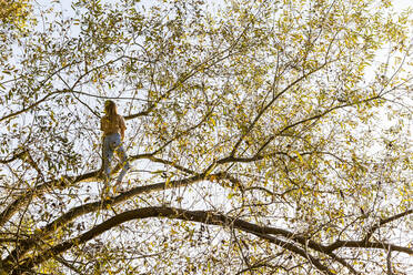 Niedriger Blickwinkel von Mädchen stehend auf Baum gegen Himmel - OJF00385