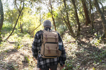 Rückenansicht eines älteren Mannes mit Rucksack beim Wandern im Wald - AFVF06108