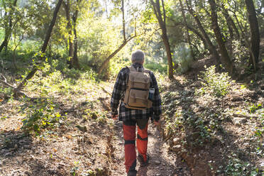 Rückenansicht eines älteren Mannes mit Rucksack beim Wandern im Wald - AFVF06109
