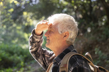 Profile of senior man hiking in forest shielding his eyes - AFVF06111