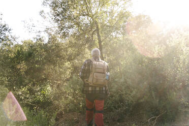 Rückenansicht eines älteren Mannes mit Rucksack beim Wandern im Wald - AFVF06124