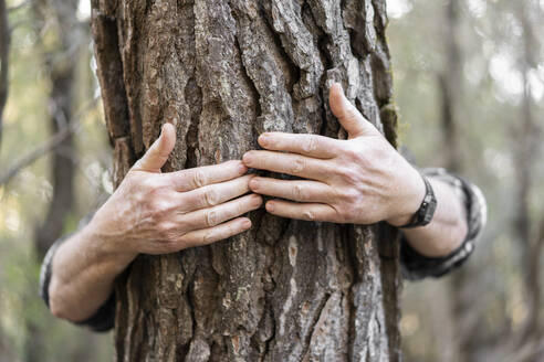 Die Hände eines älteren Mannes umarmen einen Baumstamm, Nahaufnahme - AFVF06130