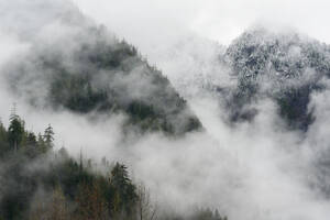 Tief hängende Wolken und Nebel ziehen durch das Kaskadengebirge mit Schnee - CAVF79456