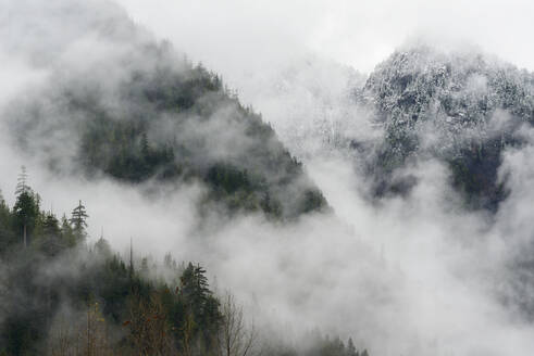 Low clouds and fog rolling through the cascade mountains with snow - CAVF79456