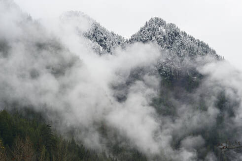 Schneebedeckte Berggipfel mit Nebel - CAVF79458