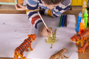 Ein Junge sitzt an einem Tisch und zeichnet einen Tiger. - CAVF79600