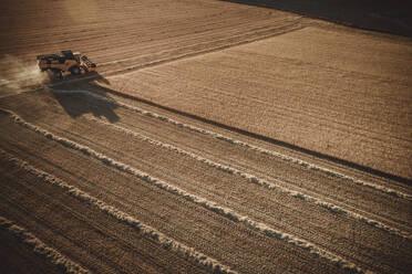 Combine harvester working at sunset from aerial view. - CAVF79704