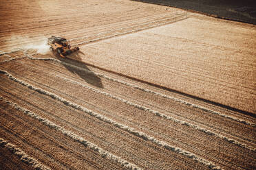 Combine harvester working at sunset from aerial view. - CAVF79705