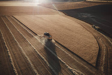 Combine harvester working at sunset from aerial view. - CAVF79706