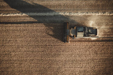 Combine harvester working at sunset from aerial view. - CAVF79707