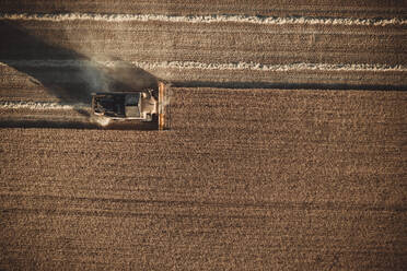 Mähdrescher im Einsatz bei Sonnenuntergang aus der Vogelperspektive. - CAVF79710