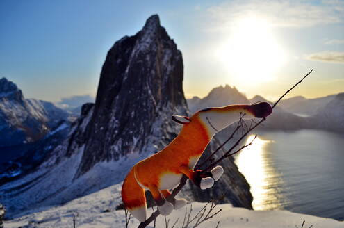 Puppet Fuchs hat die Spitze des Berges mit schöner Aussicht auf den Felsen erreicht - CAVF79730