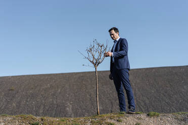 Älterer Geschäftsmann mit einem kahlen Baum auf einer stillgelegten Bergwerkshalde - JOSEF00399