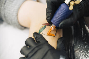 Female tattooist tattooing a peach on a woman's arm - JSMF01544