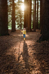 Kleines Mädchen spaziert durch einen schönen Wald in Neuseeland - CAVF80012