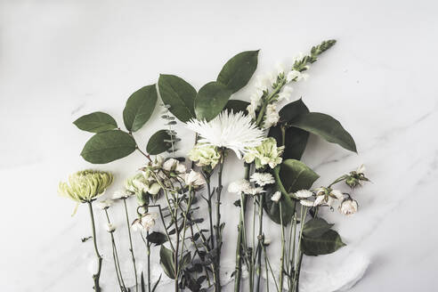 Verschiedene weiße Blumen und Grünzeug auf weißer Oberfläche - CAVF80277