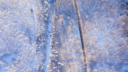 Aerial view of a road in winter. - CAVF80391