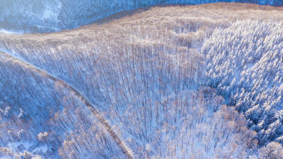 Luftaufnahme einer Straße im Winter. - CAVF80394