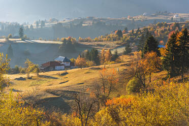 Autumn landscape. Misty sunrise in Rodopi, Bulgaria. - CAVF80420