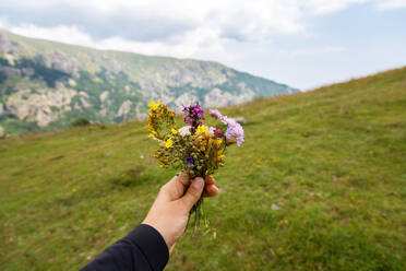 Blumen in der Hand einer Frau vor einem natürlichen Hintergrund. - CAVF80437