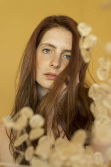 Porträt einer rothaarigen Frau vor gelbem Hintergrund - AFVF06161