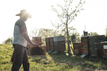 Älterer Imker mit Wabenkörben, der auf Bienenstöcke auf einem Feld gegen den Himmel zugeht - WFF00384