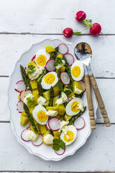 Plate of vegetarian potato salad with boiled eggs, asparagus, radishes and parsley - SARF04547