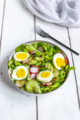 Schüssel mit vegetarischem Salat mit gekochten Eiern, Radieschen, Gurken, Feldsalat und essbaren Blüten - SARF04552