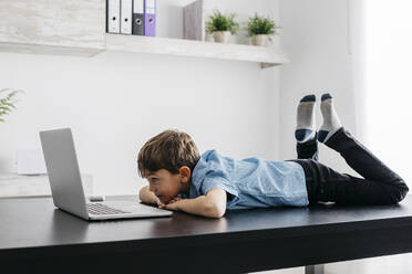 Boy lying on desk looking at laptop - JRFF04385