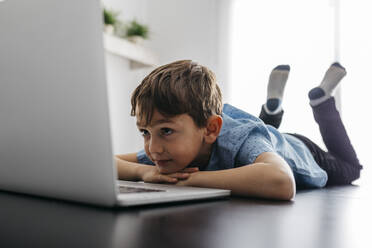 Boy lying on desk looking at laptop - JRFF04386