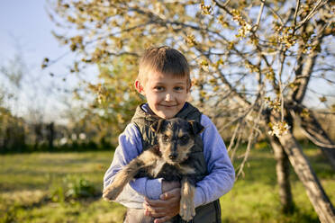 Porträt eines Jungen mit Hund auf einer Wiese - ZEDF03321