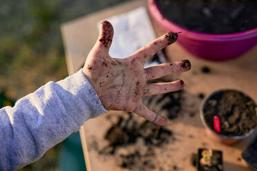 Nahaufnahme eines Jungen, der seine schmutzigen Hände bei der Gartenarbeit zeigt - ZEDF03335