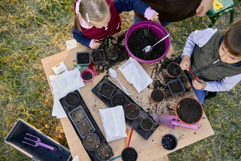 Topviewof mother with two kids gardening stock photo