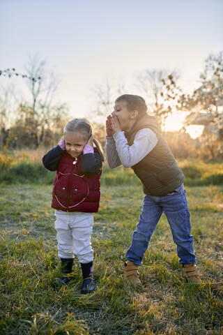 Bruder schreit Schwester auf einer Wiese bei Sonnenuntergang an, lizenzfreies Stockfoto