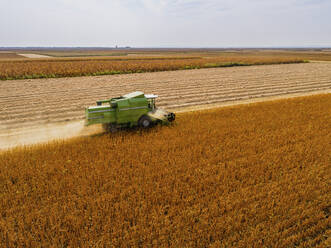 Aerial view of combine harvester on a field of soybean - NOF00077