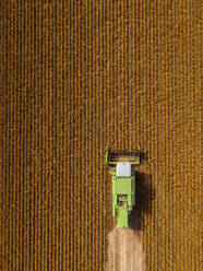 Aerial view of combine harvester on a field of soybean - NOF00079