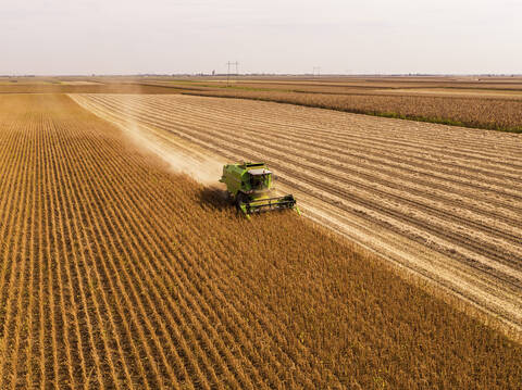 Aerial view of combine harvester on a field of soybean stock photo