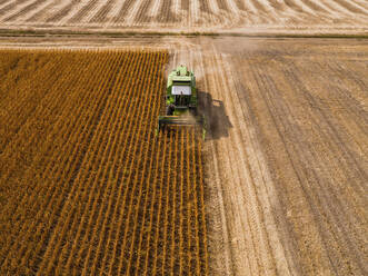 Aerial view of combine harvester on a field of soybean - NOF00082