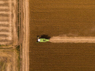 Aerial view of combine harvester on a field of soybean - NOF00083