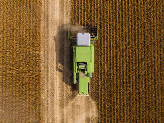 Aerial view of combine harvester on a field of soybean - NOF00086