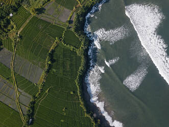 Indonesia, Bali, Aerial view of coastal rice paddies - KNTF04553