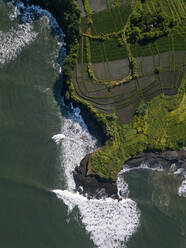 Indonesia, Bali, Aerial view of coastal rice paddies - KNTF04554