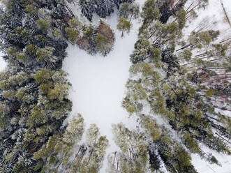 Russland, Leningrad Oblast, Luftaufnahme einer kleinen Lichtung im Winterwald - KNTF04581