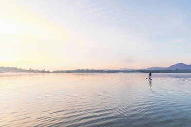 Woman standing on sup board in the morning on a lake, Germany - MMAF01312