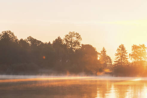 See bei Sonnenaufgang, Deutschland - MMAF01315