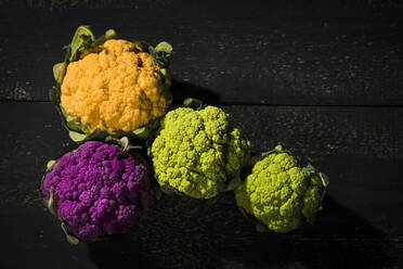 Studio shot of colorful cauliflowers - MAEF12979