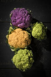 Studio shot of colorful cauliflowers - MAEF12980