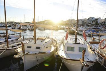 Harbour at sunset, Port de Pollenca, Mallorca, Balearic Islands, Spain - ECPF00894