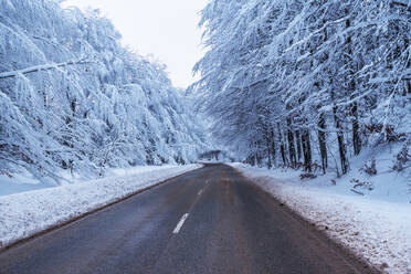 Winter road. Country road through forest. Travel concept. - CAVF80531