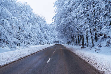 Winterstraße, Landstraße durch den Wald, Reisekonzept. - CAVF80531